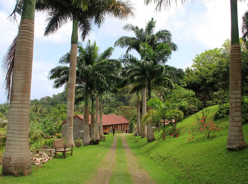 Belmont Estate, St. Patrick, Grenada